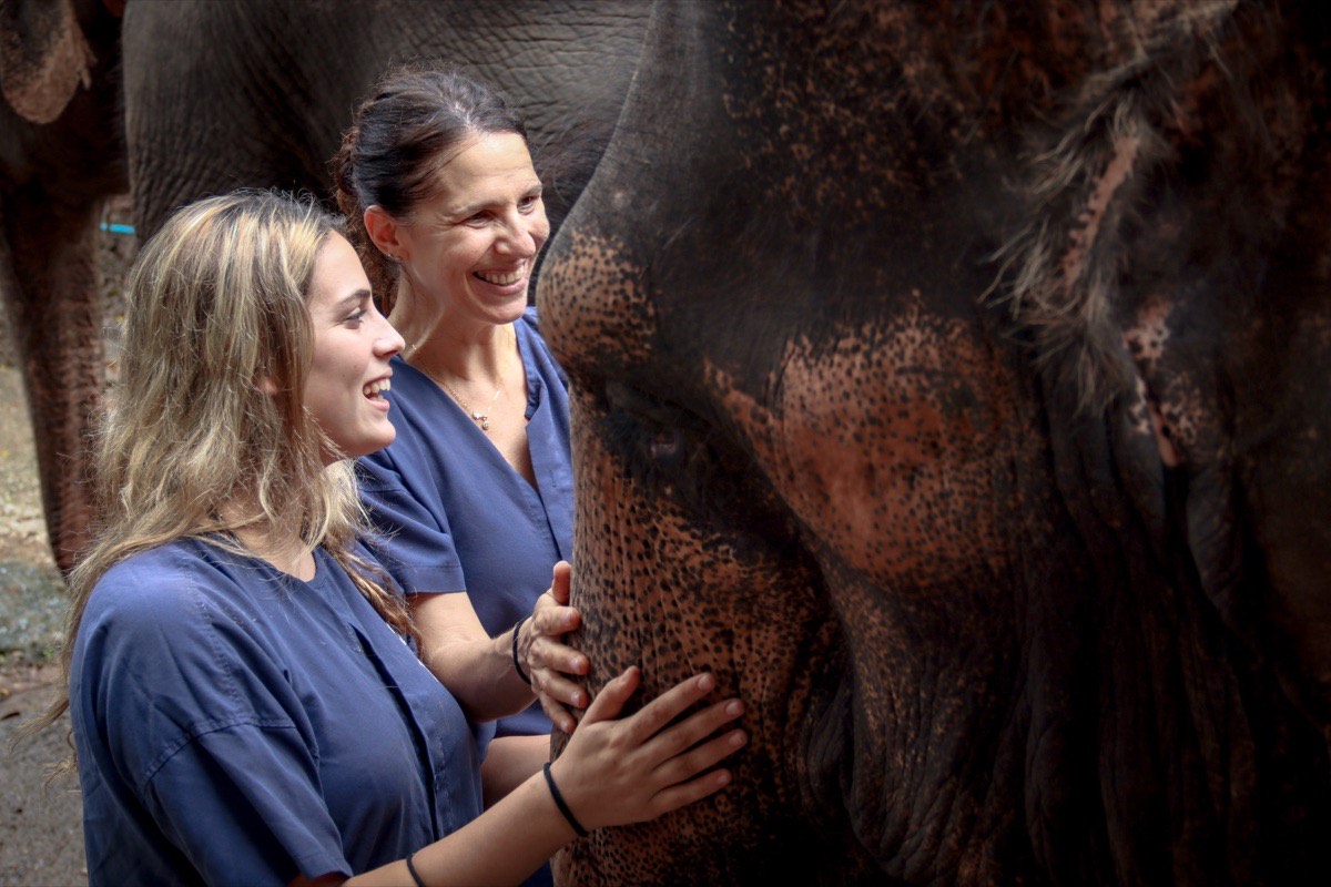 Mae Wang — Jungle & River Wilderness