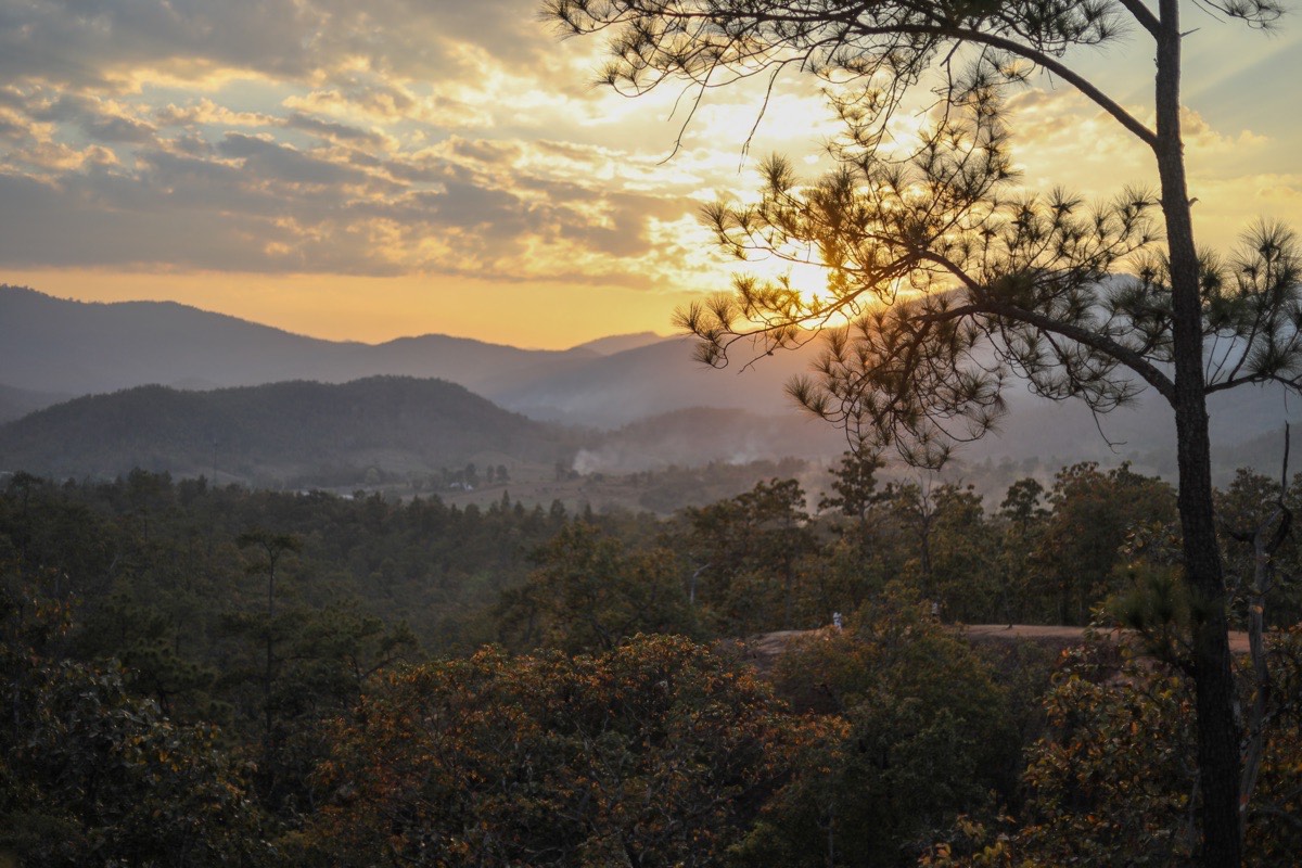 Shabbat in Chiang Mai — Where to Stay, Eat & Pray